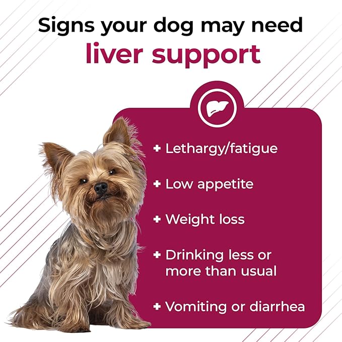 VetriScience Same Liver Health Tablets, 90 mg S-Adenosyl-Methionine Liver Health and Detox Supplement for Cats and Small Breed Dogs Under 13 Pounds, Glutathione Antioxidant Liver Support, 30 Count