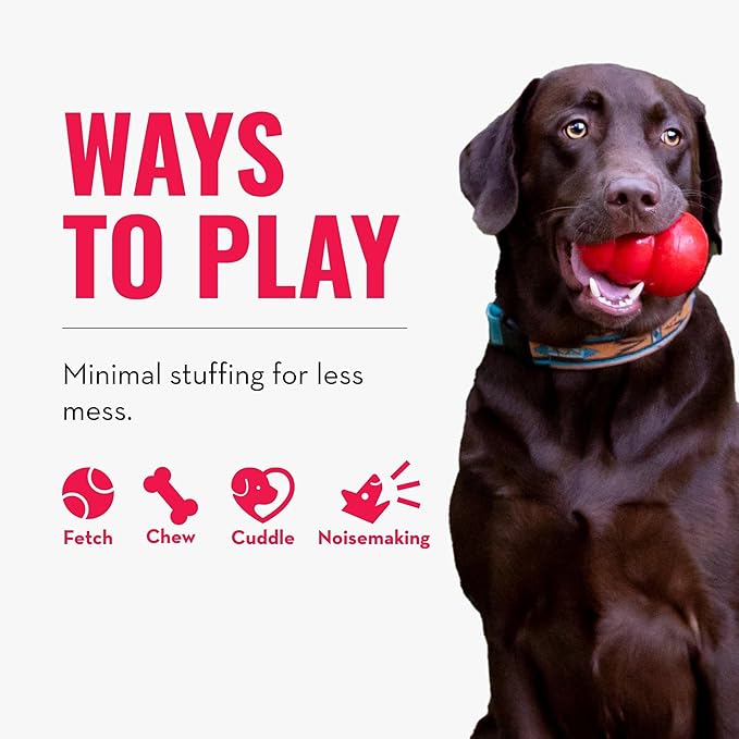 KONG Wild Knots Bears - Durable Dog Toys with Internal Knotted Ropes and Minimal Stuffing for Less Mess (Assorted Colors) (Medium/Large)