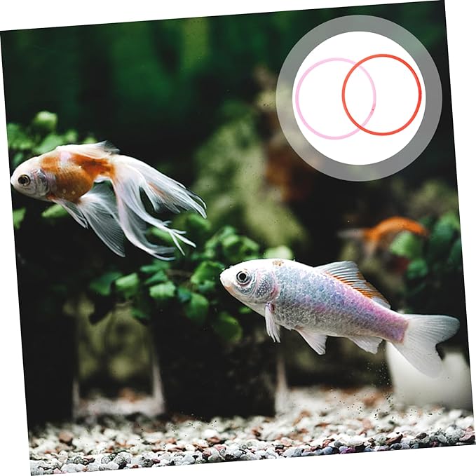 FRCOLOR 6pcs Aquarium Floating Plant Duckweed Isolation Feeders Sturdy Fish Feeding Circles for Tanks Optimal Feeding Environment Elegant Color Design