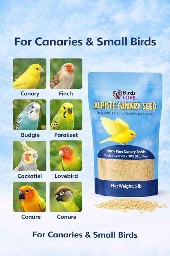 Birds Love Alpiste Canary Seed – 100% Pure, Non-GMO, Double Cleaned Food for Canaries, Finches, Budgies & Parakeets – No Additives, Bird Feed, 5 lbs