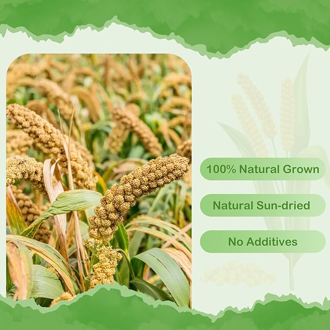 ERKOON 5LB Spray Millet Treat, All Natural Sun-Dried Healthy Treat Parrot Food Bird Snack for Parakeets, Lovebirds, Cockatiels, Finches, Budgies, Canaries Hamster, Bird Food Bulk