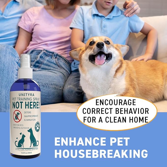 Not Here Spray for Dogs, Cats & puppies– Pet Urine & Chewing Deterrent – Indoor & Outdoor Pee Repellent Spray– Stops Peeing, Pooping – Potty Training & Behavior Corrector for Furniture Carpet & Floors