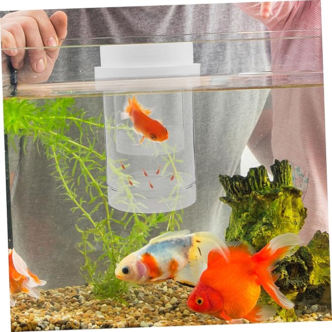 1 Set Fish Breeder Box: Fish Tank Breeding Isolation Box Plastic - Floating Hatchery Incubator for Guppy Betta Shrimps - Aquarium Divider
