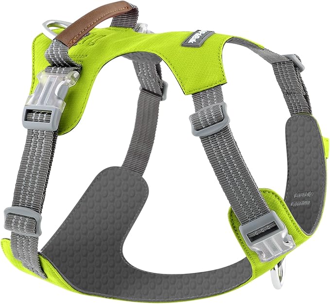 No Pull Dog Harness – Adjustable Reflective Nylon Vest for Small Medium Large Dogs, Escape Proof Training Harness with Leather Control Handle, Lightweight Aluminum Hardware (Green, L)