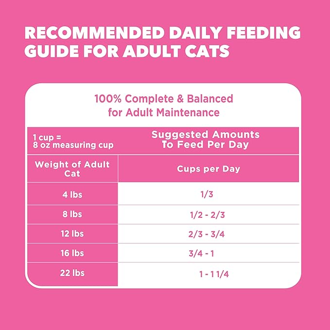 IAMS Proactive Health Sensitive Digestion & Skin Dry Cat Food, Adult Cat Food Dry Recipe with Real Turkey, 6 lb. Bag
