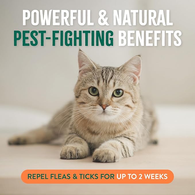 TropiClean Flea and Tick Treatment Spray for Cats & Home, Safely Treat, Prevent & Control by Contact, Powerful & Natural Defense, USA Made, 32oz