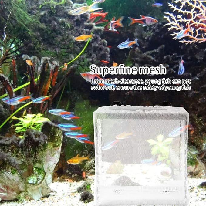 Fish Breeding Incubator, Fish Tank Breeder Net Multifunctional Isolation Mesh Box Fish Breeding Net Aquarium Fish Tank Incubator Breeder with Suction Cup for Fish Tank Breeder Box