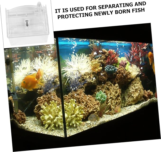 1pc Fish Breeding Isolation Box Pneumatic Design for Freshwater Tanks for Fish and Shrimp Aquarium Incubator for Healthy Hatching Environment