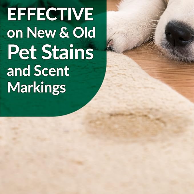Simple Green Bio Active Stain & Odor Remover for Pet & Carpet- Pet & People Safe (1 Gal), Milky White, 128 Fl Oz (Pack of 2)
