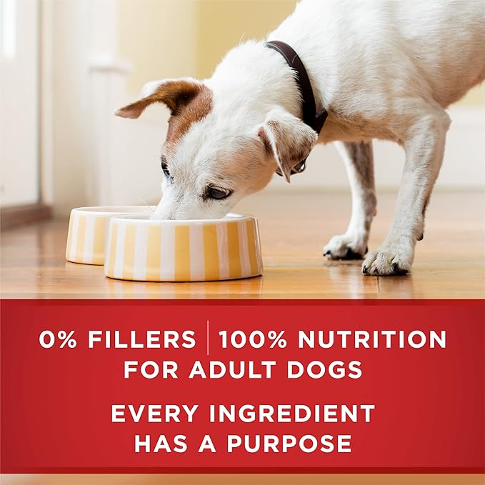 Purina ONE Natural High Protein Dog Food, Tender Cuts in Gravy Chicken and Brown Rice Entrée - 13 Ounce (Pack of 12)