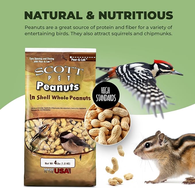 Scott Pet Wild Bird Seed, Whole Peanuts, 4 lbs Bag, Feed, Great Source of Protein and Fiber, Peanuts for Outside Wild Birds