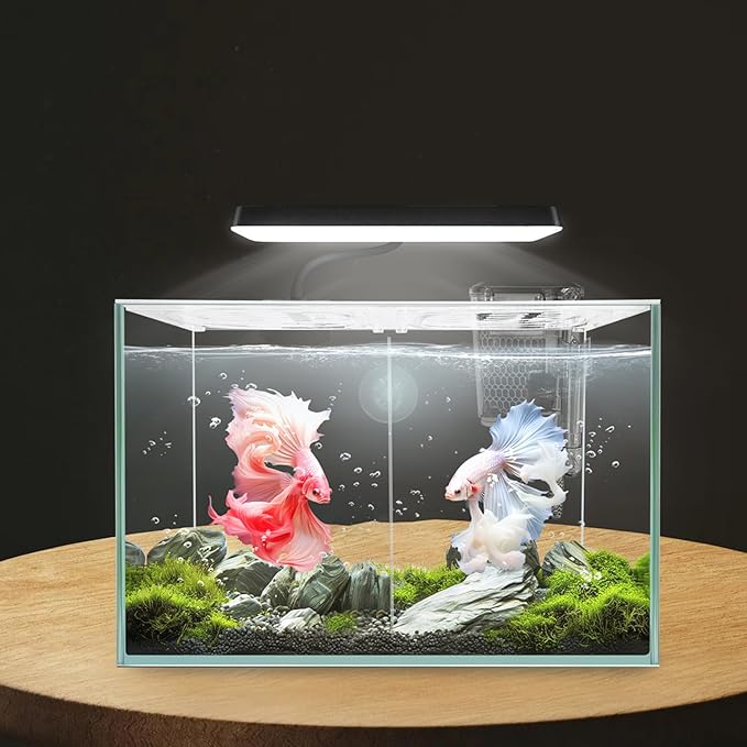 3 Gallon 12.6" L Fish Nano Glass Aquarium, with Separator Plate for Betta, Multi-Functional Square Fish Tank with Filter, LED Light, White 4mm Glass