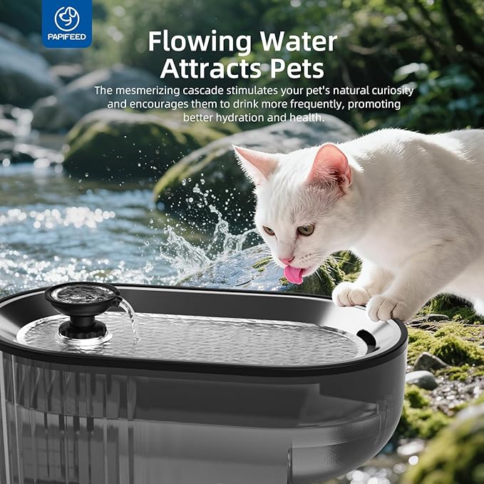 Cat Water Fountain Stainless Steel with a Silicone Mat, 84oz/2.5L Automatic Cat Water Fountain with Water Level Window and LED Light, Quiet Low Power Cat Water Bowl & Cat Water Dispenser(Black)