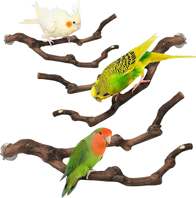 PINVNBY 3 Sizes Natural Parrot Perch Grape Wood Bird Stand Pole Parakeet Paw Grinding Fork Chewable Climbing Branches Toy Bird Cage Accessories for Budgies Conures Cockatiels Lovebirds
