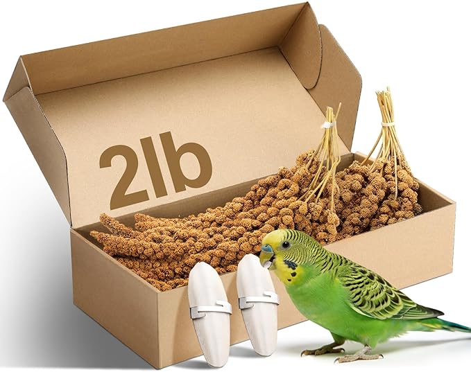 MEWTOGO Spray Millet & Cuttlebone Bird Treats Set - 2lb Hand Selected Golden Millet Treats for Parakeets Cockatiel Lovebirds Canaries Finches, Energy & Calcium Boost