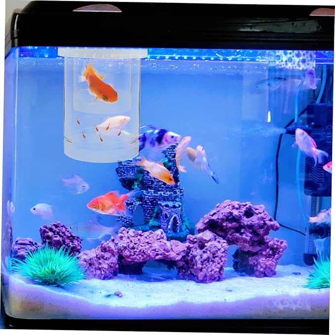 1 Set Fish Breeder Box: Fish Tank Breeding Isolation Box Plastic - Floating Hatchery Incubator for Guppy Betta Shrimps - Aquarium Divider