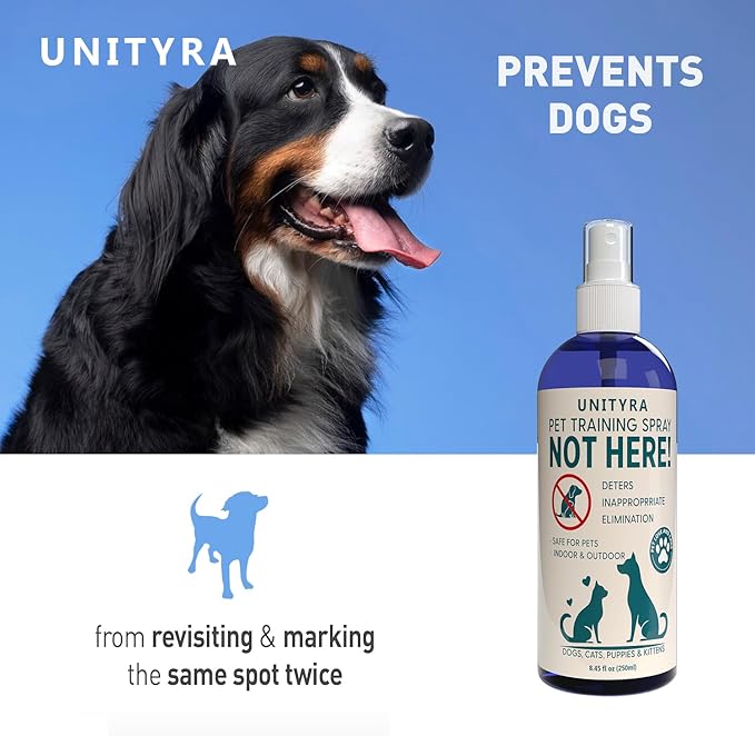 Not Here Spray for Dogs, Cats & puppies– Pet Urine & Chewing Deterrent – Indoor & Outdoor Pee Repellent Spray– Stops Peeing, Pooping – Potty Training & Behavior Corrector for Furniture Carpet & Floors