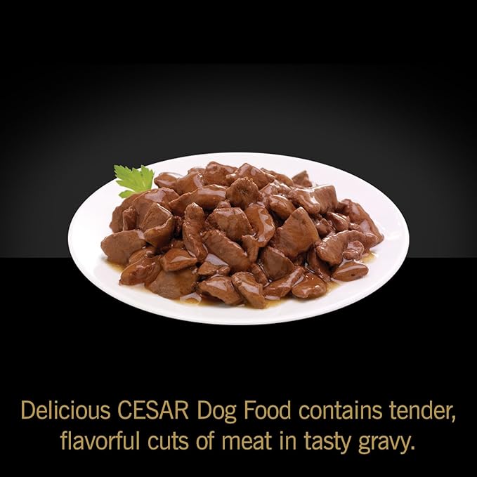 Cesar Filets in Gravy Adult Wet Dog Food Variety Pack, Filet Mignon and New York Strip Flavors, 3.5 oz. Easy Peel Dog Food Tray, 12 Count (Pack of 1)