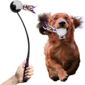 Littlearth NFL Pet Ball Launcher