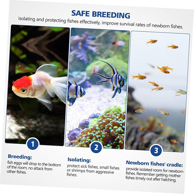 Fish Breeding Box for Aquarium Fish Tank Acclimation Box Transparent Incubator
