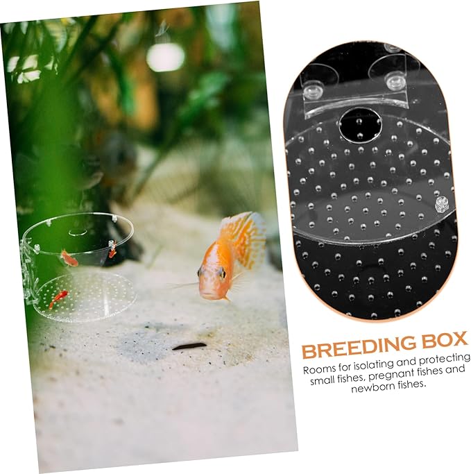 Yardwe Fish Breeding Box for Betta and Shrimp Lightweight Isolation Tank Protective Divider for Newborns and Pregnant Fish Aquarium Accessory