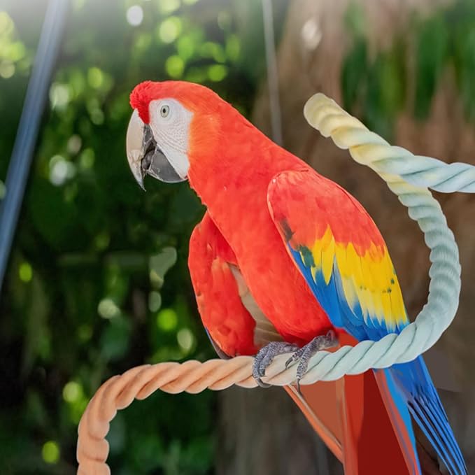 3 Pieces 79''/2 M Bendable Bird Rope Perch Stand, Colorful Climbing Rope Perches for Bird Cages Swing Pole Parrot Parakeet Cockatiel Lovebird Budgie Accessories 1 Short & 2 Long