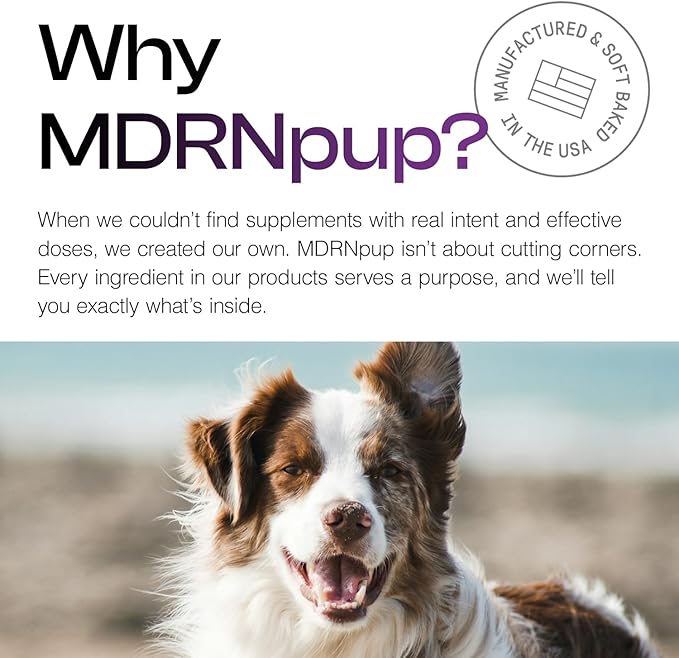 MDRNpup® Unique Dog Treats, Human Grade and All-Natural, Only Four Ingredients, High Protein - Amino Acids, Nothing Artificial, Soft Baked in The USA (13.2 Ounce, Chickpea & Pumpkin)