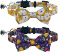 SuperBuddy Cat Collars Breakaway with Bell - 2 Pack Cat Safety Collars for Boys & Girls - Safety Buckle Kitten Collar for Pet Supplies,Stuff,Accessories