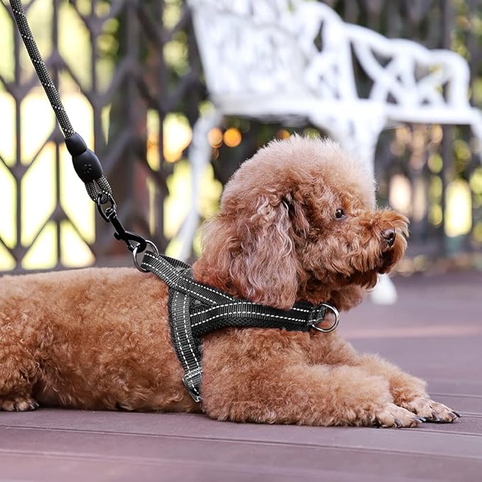 Plutus Pet No Pull Dog Harness with Breathable Mesh Padded, Adjustable Reflective Escape Proof Dog Harness, Quick Fit Dog Vest Harness for Small Medium Large Dogs(XS, Black)