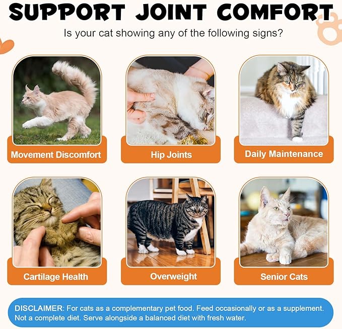 ALIVO Hip & Joint Glucosamine Chews for Cats, Cat Joint Supplement with Glucosamine, MSM Supports CatJoint Health, Cat Health Supplies for Cats Mobility Support, Chicken Flavor - 30 Soft Chews / 100g