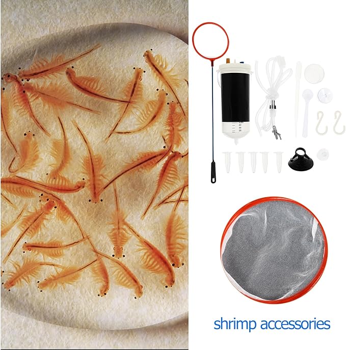 FRCOLOR 2 Sets Incubator Artemia Shrimp Brine Shrimp Hatchery Breeding Tanks for Fish Vessel Tools Artemia Eggs Hatchery Fish Fish Tank Aquarium Plastic Eggs