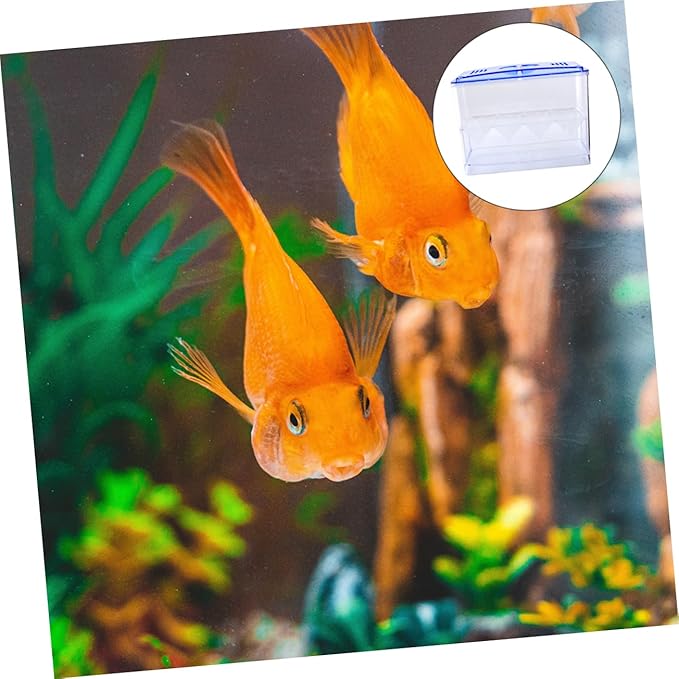 Happyyami 1pc Fish Hatching Isolation Box Freestanding Self-Floating Breeding Tank Design for Safe Fry Incubation and Enhanced Air Circulation