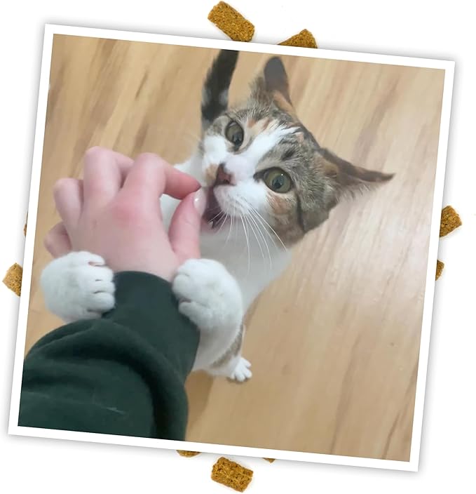Meowijuana Crunchie Munchie Catnip Treats Bundle | 2 Chicken and 1 Seafood Medley | Made with Organic Catnip | Produced in The USA | Low Calorie Cat Snack