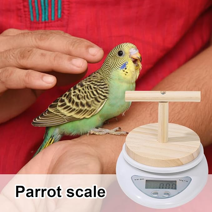 Parrot Weighing Scale – Bird, Electronic Scale | Small Animal Feeding Weight Tool for Xuanfeng Tiger Skin Peony, Measuring Bird Food Grain and Milk Powder for Daily Health Monitoring and Pet
