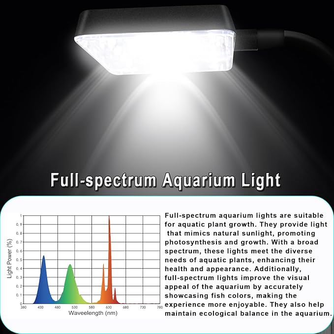 3 Gallon 12.6” L Fish Nano Glass Aquarium, with Separator Plate for Betta, Multi-Functional Square Fish Tank with Filter, LED Light, Black 4mm Glass