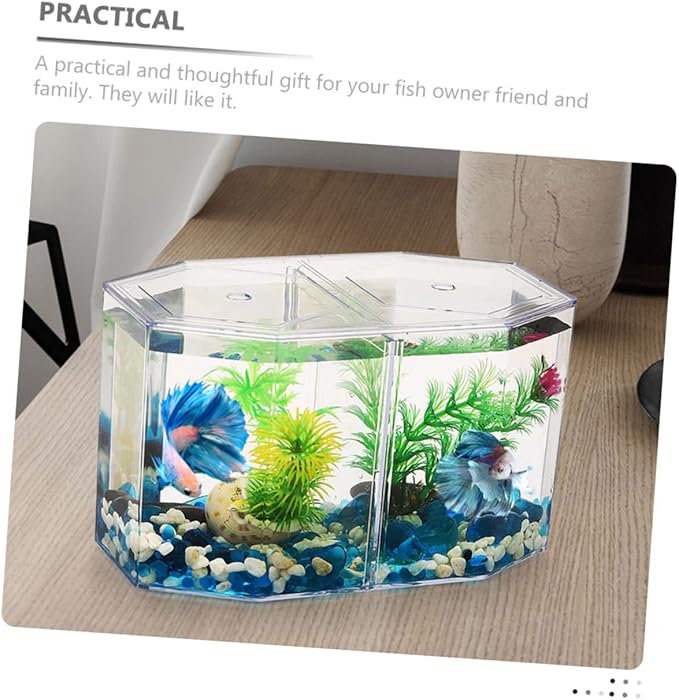 Professional Transparent Fish Breeding Tank Double Space Incubation Box for Fish Easy to Use for Fry and Aggressive Aquarium Supply