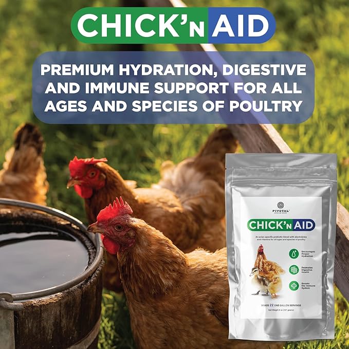Pivotal Chick’n Aid Chicken Supplement for All Ages (8 oz, Pack of 1) - Chicken Vitamins, Electrolytes, and Probiotics - Multipurpose Poultry Vitamins for Chickens, Ducks, and Turkeys