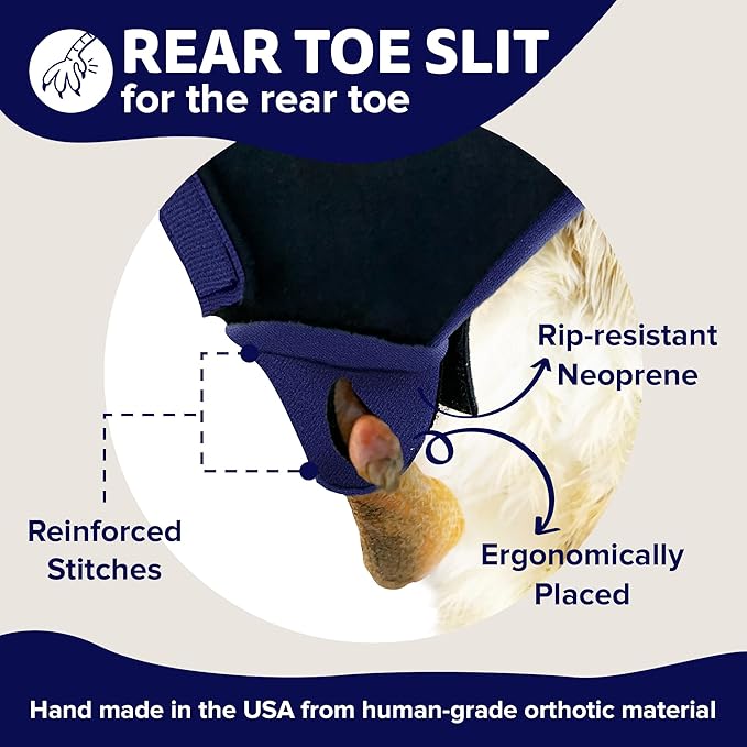 Chicken Shoes for Injured Feet – Protective Neoprene Footwear for Chicken, Open-Toe Design for Bumblefoot Relief, Made in USA - Large, 4" Max. Inside Width, Navy