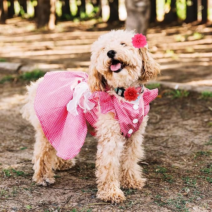 20PCS Flower Bows Alligator Hair Clips for Cat Dogs Puppy Birds Ducks Horse Chicken Pets Barrettes Party Birthday Grooming Hair Accessories