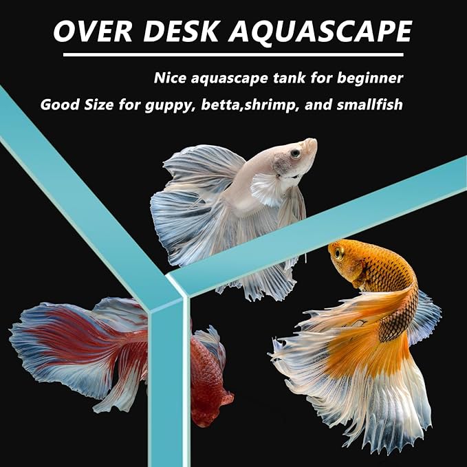 Betta Fish Tank, 2.5 Gallon Nano Nature Aquarium Starter Kit, Ultra-Clear Rimless Desktop Fish Tank with Light, Filter, Gravel and Rock, Aquarium Perfect for Small Fishes, Black