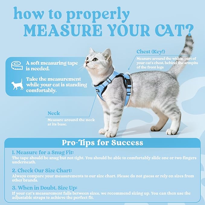 rabbitgoo Cat Harness and Leash for Walking, Escape Proof Soft Adjustable Vest Harnesses for Cats, Easy Control Breathable Reflective Strips Jacket, Light Blue, XS