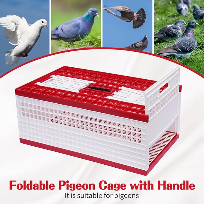 Racing Pigeon Carrier Box, 60 x 31 x 23 Cm Bird Training Basket Folding Pigeon Training Release Cage with 2 Side Doors + 2 Top Department