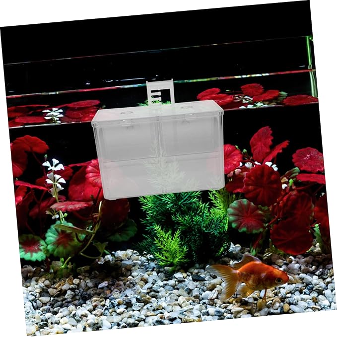 Generic Fish Breeding Box with Hook Mount Incubator and Tank Divider for Aquarium Prevents Fish Easy to Install and Shrimp Hatchery