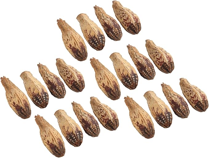 Parrot Chew Nuts, Natural Dried Nut Treats, 5 Bags - Boredom Relief, Mouth Sharpening, Home Decorative Pet Toy for Birds