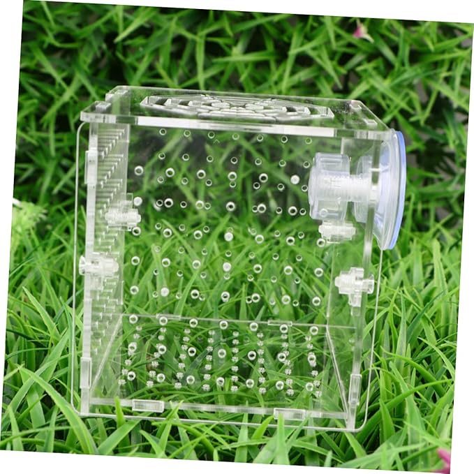 Beaupretty Aquarium Isolation Tank Acrylic Fish Breeding Box for Eggs Protection Observation