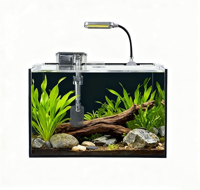 2.5 Gallon Fish Tank Starter Kits, with Led Light, Filter Pump, Cover, Small Fish Tank Betta Aquarium (30x18x20CM)