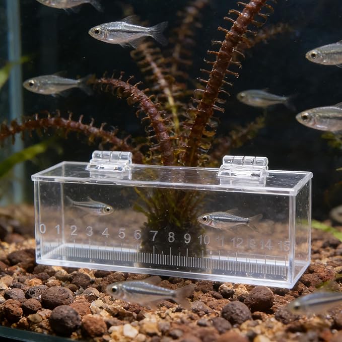 Acclimation Box: Acrylic Fish Breeding Box & Separator for Aquarium - Hatchery Incubator for Small Baby Fishes Shrimp Clownfish Guppy