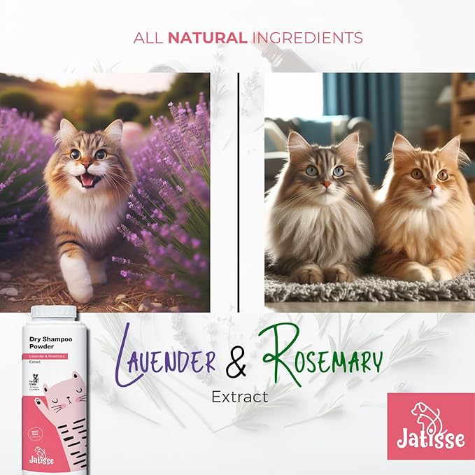 Cat Dry Shampoo Powder with Lavender and Rosemary for Cats 5.29 fl. oz| Grooming for Cat | Kitten Sensitive Skin | Cleansing and Moisturizing Perfume and Talc Free (2)