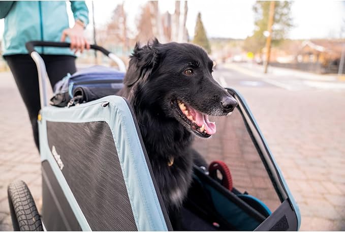 Burley Bark Ranger™ Pet Bike Trailer