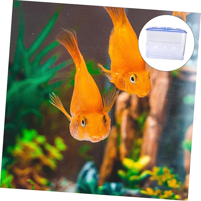1PC Freestanding Small Fish Breeding Isolation Box Transparent Self Floating Hatching Tank for Safe Juvenile Fish Care Easy to Clean and Observe No Gap Design